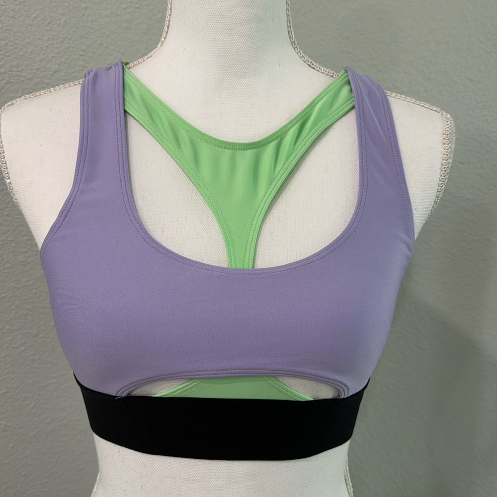 ALO Yoga Pastel Purple and Light Green Sports Bra